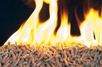 Szeroki wybór pelletów drzewnych